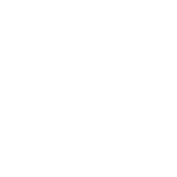 fb icon white